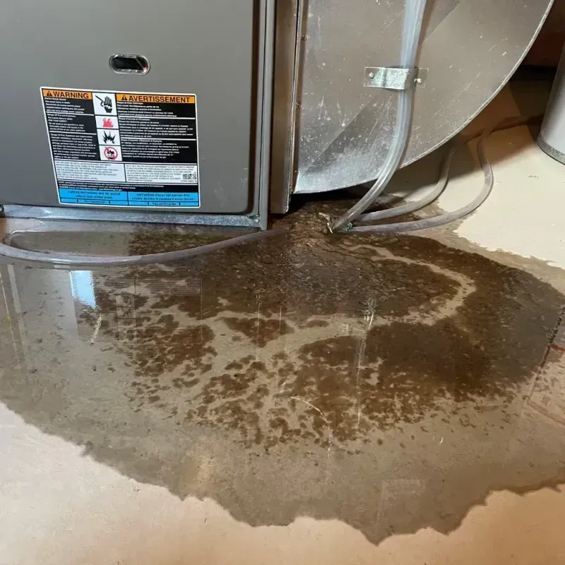 Appliance Leak Cleanup in Hickory Creek, TX